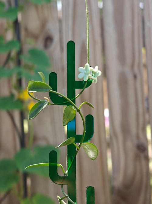 Green acrylic cactus-shaped plant support with a small white flower against a blurred natural background