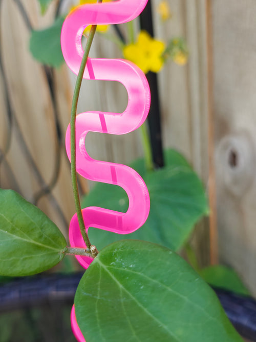 clear plant trellis Wavy Acrylic Plant Trellis – Plants Pots Nice