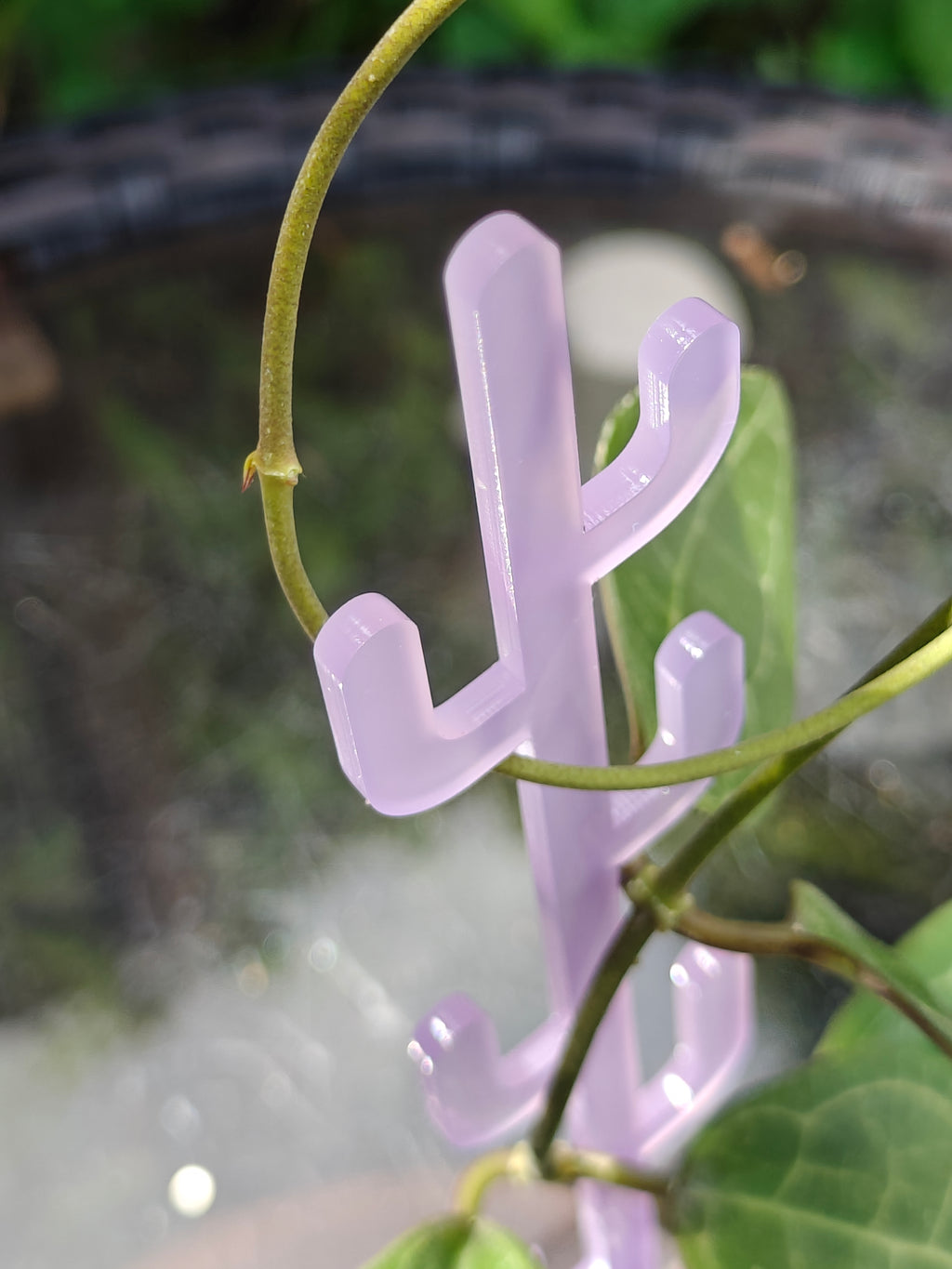 Purple (lavender) cactus-shaped plant support on a blurred natural background