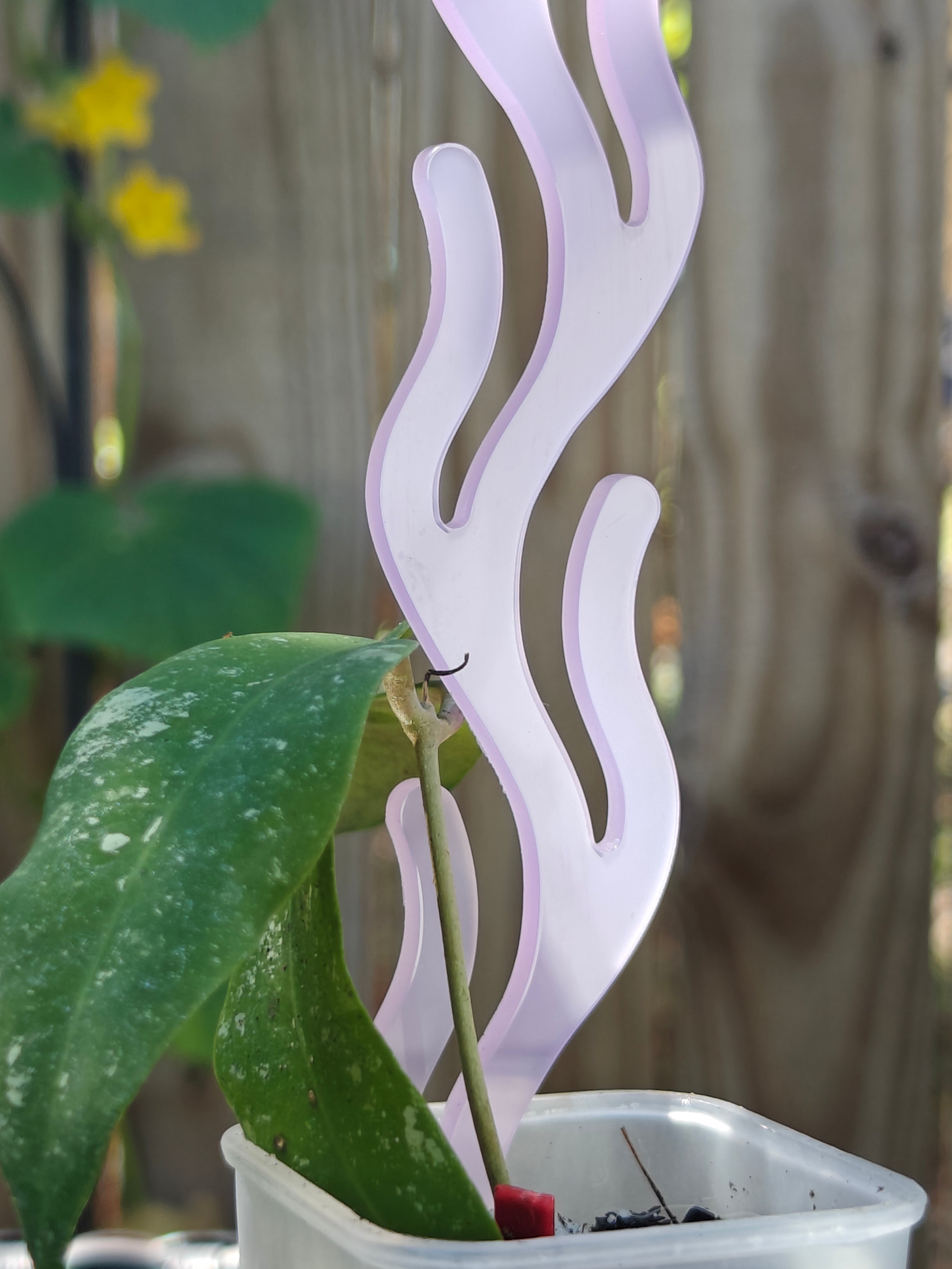 Lavender acrylic plant support trellis with a hoya in a pot against a blurred background