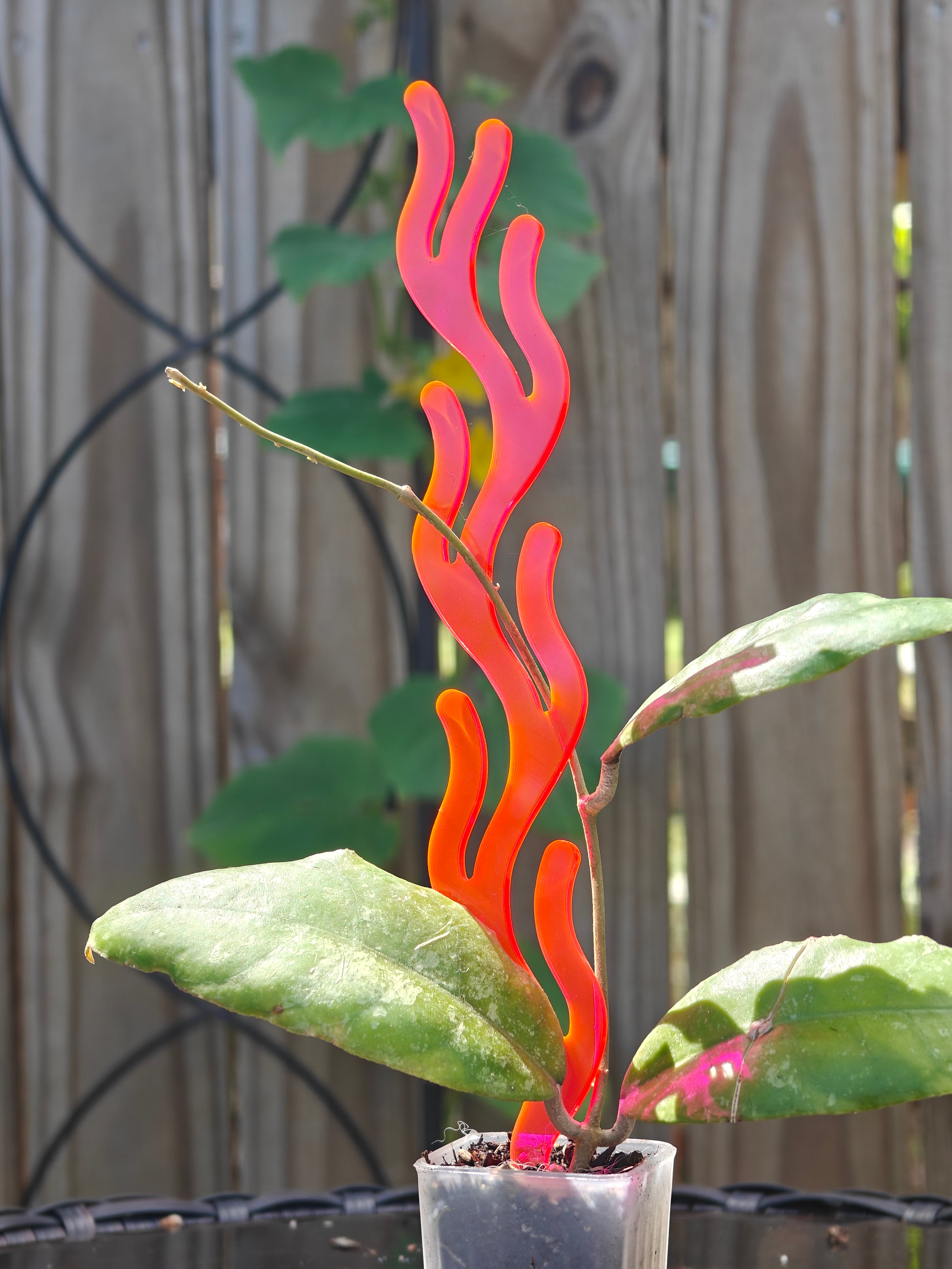 Coral inspired neon pink plant stake with green leaves against a wooden fence background