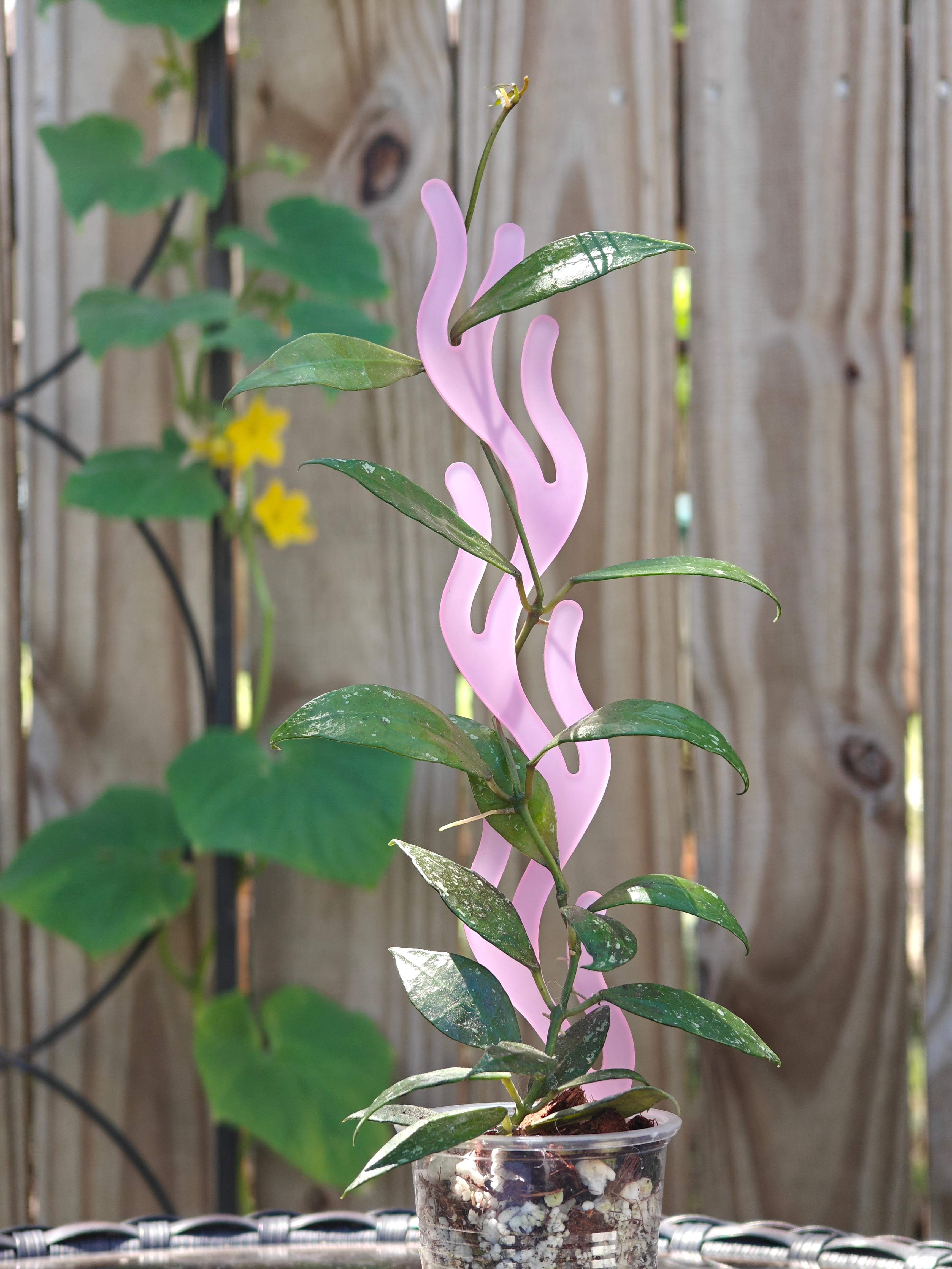 Decorative plant trellis with a pink coral inspired design against a wooden fence background