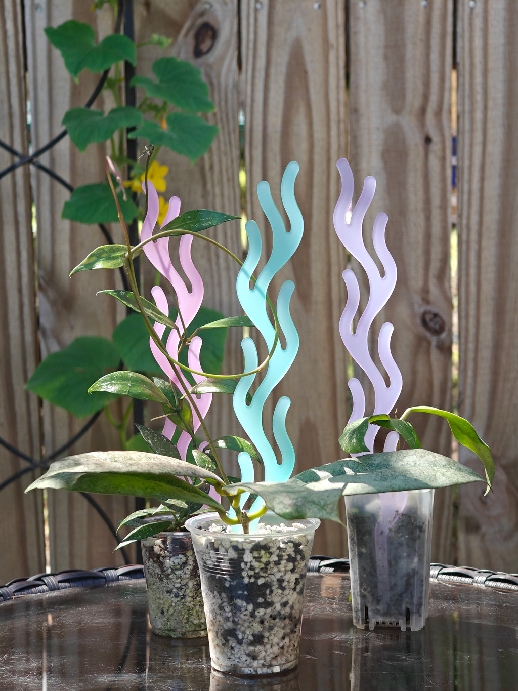 Coral Acrylic Plant Trellis