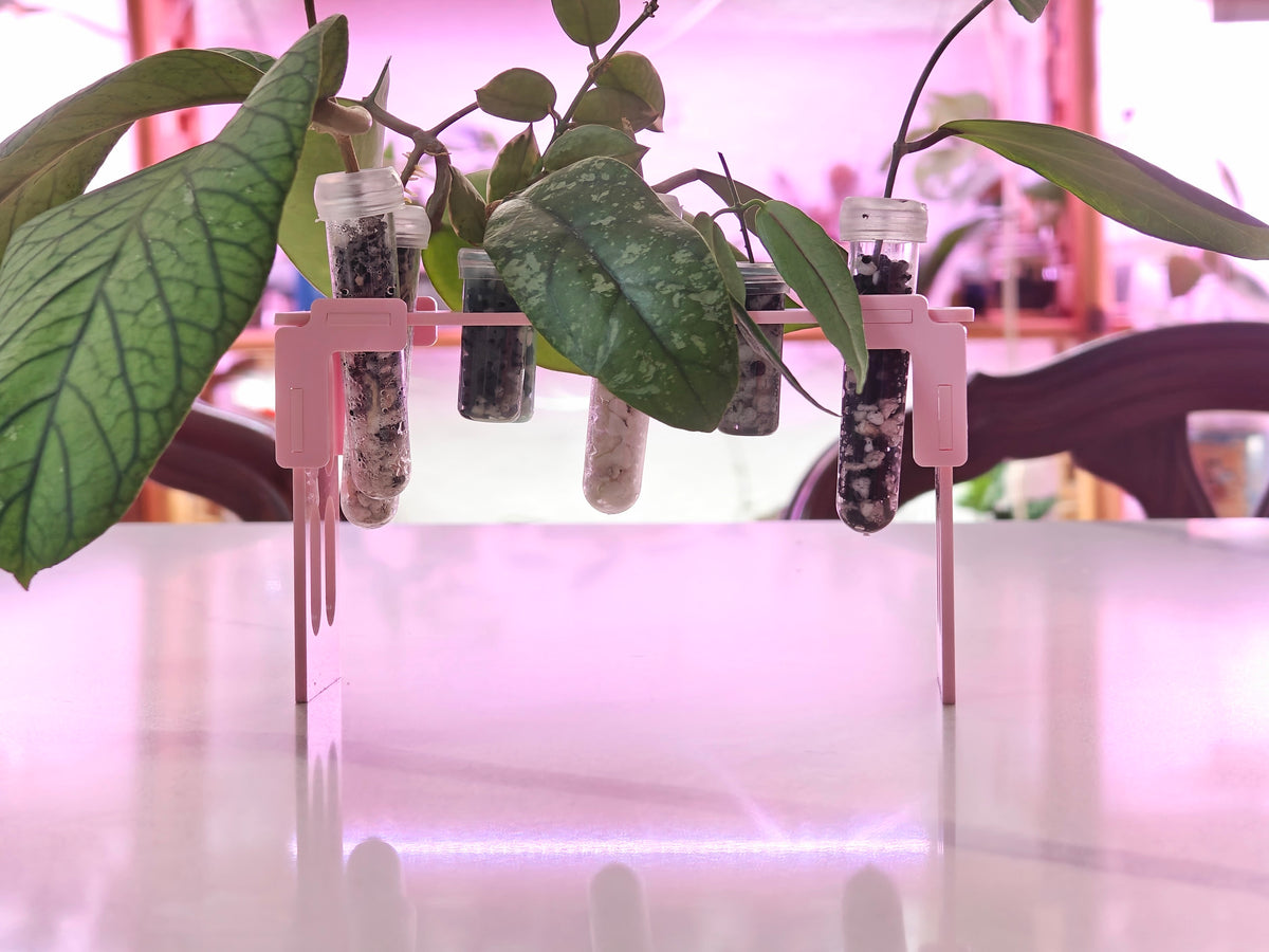 Prop Holder